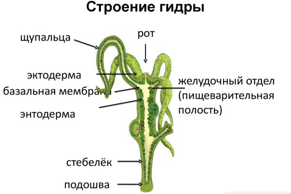 Восстановить доступ к кракену