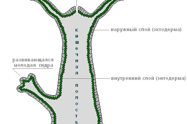 Ссылка на кракен